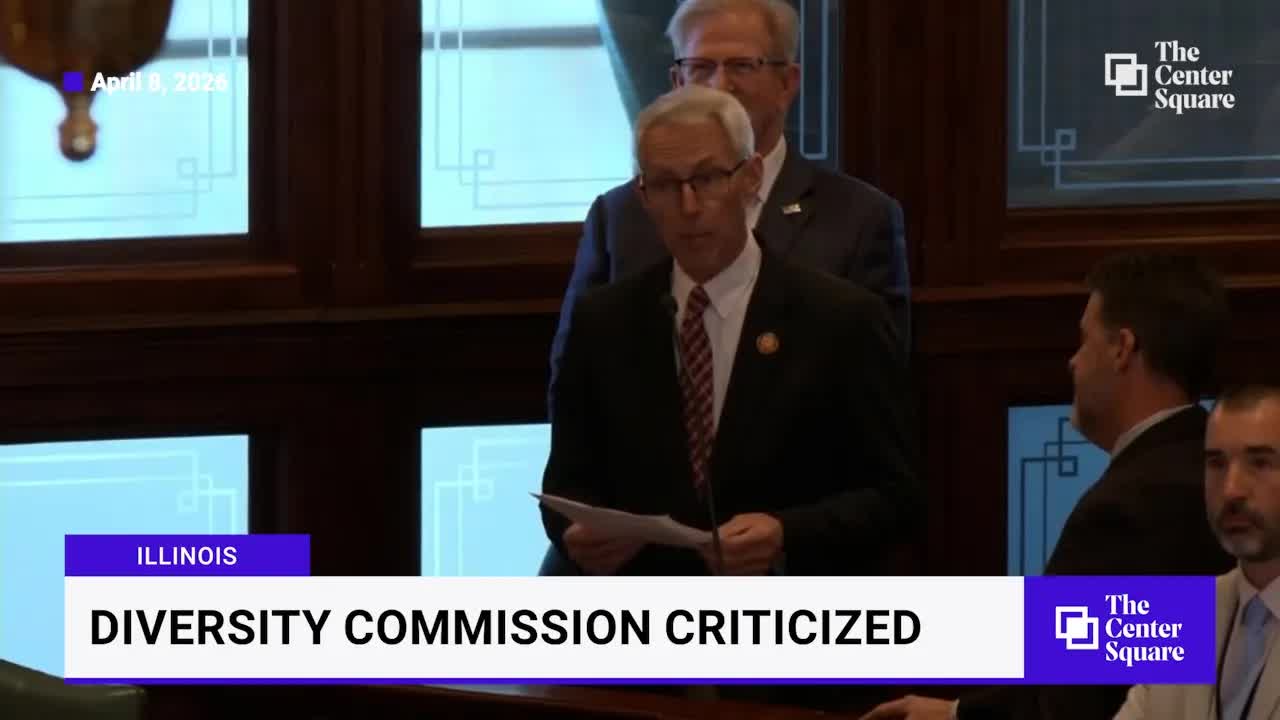 Representative criticizes Illinois' diversity commission