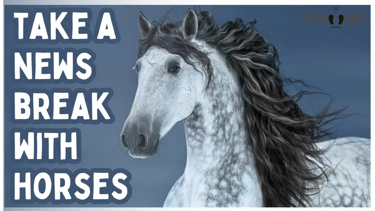 The News Can’t Follow You Here 🌍🐎 10 Minutes of Riding Horses Around the World
