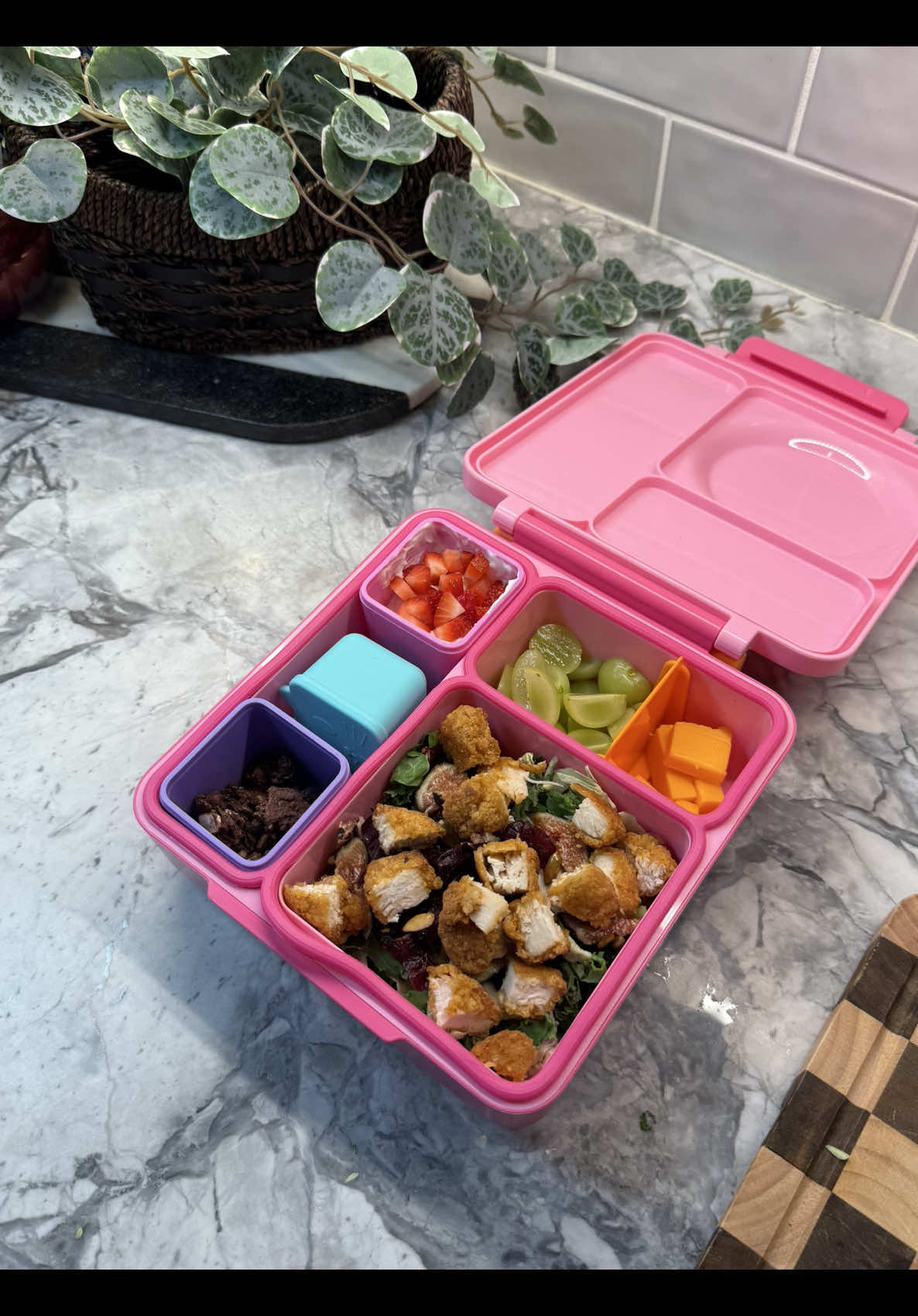 Balanced bento featuring crispy nuggets, kale salad, and yogurt parfait