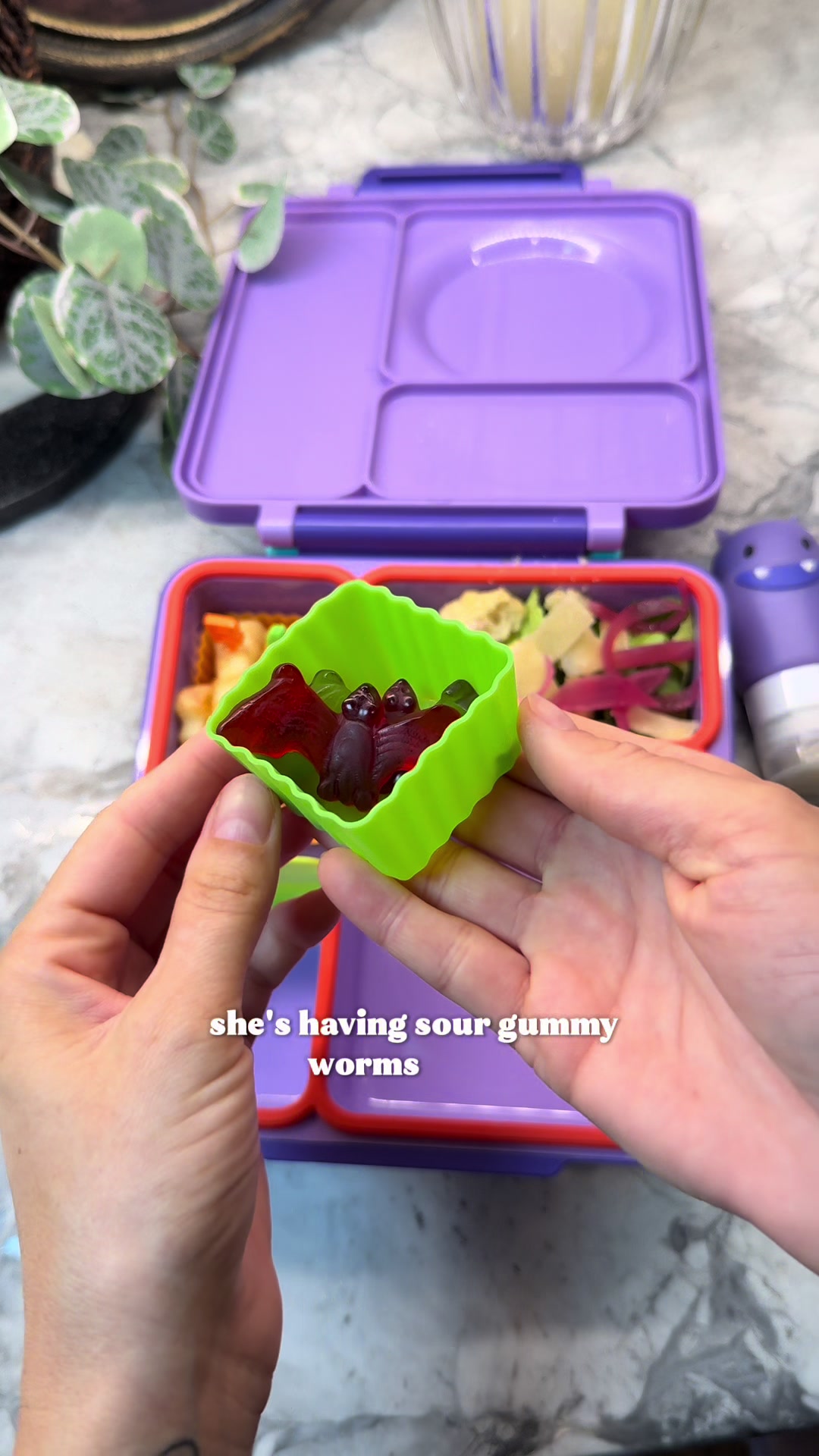 Themed lunchbox packed with salad, fruit, gummies, and warm thermos