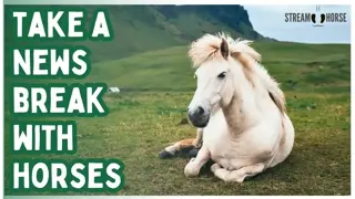 Today's Headlines Fade at a Horse’s Pace 🐎🌾 A 10-Minute Ride to Reset