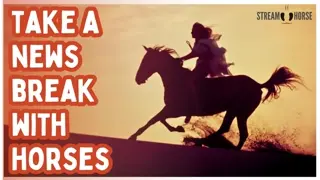 Reset Here Until the News Noise Disappears 🐎🌍 10 Minutes on Horseback Around the World