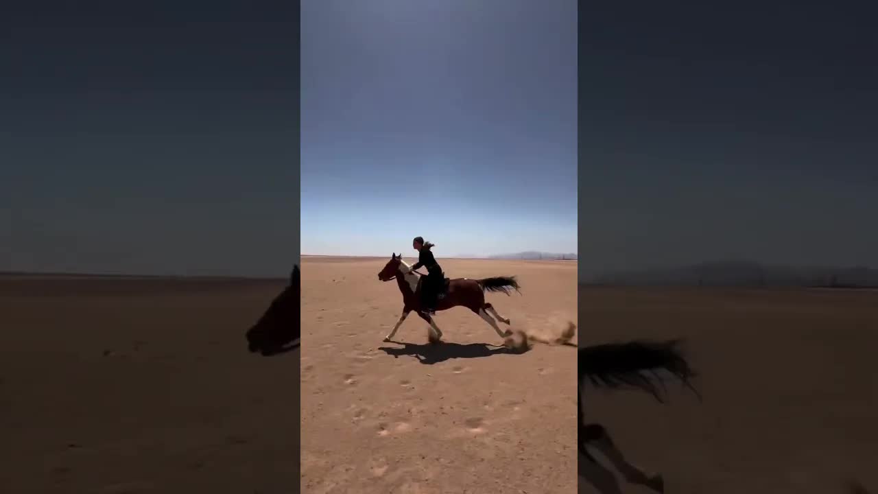 Nothing can explain my love for this horse. 🤎📍Hurghada, Egypt 🇪🇬