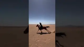 Nothing can explain my love for this horse. 🤎📍Hurghada, Egypt 🇪🇬