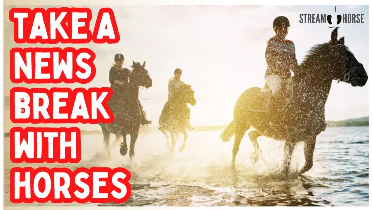 Pause the Headlines ❌📰🐴 10 Minutes of Horses & Earth to Feel Human Again