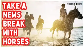Pause the Headlines ❌📰🐴 10 Minutes of Horses & Earth to Feel Human Again