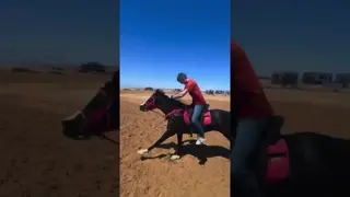 A little preview of what 2 hours horseback trip in Hurghada feels like with Ride to Live Stables 🐎