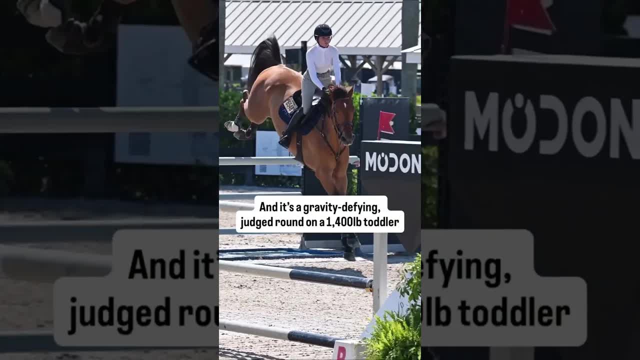 Equestriennes are a different breed 😂🐎