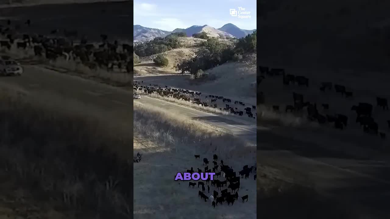 Ranching Family vs State — Land & Water Rights Fight