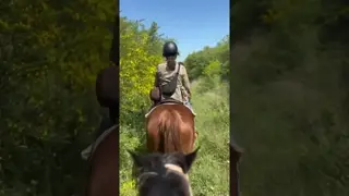 📍Sacrofano - Magliano Romano 🐴