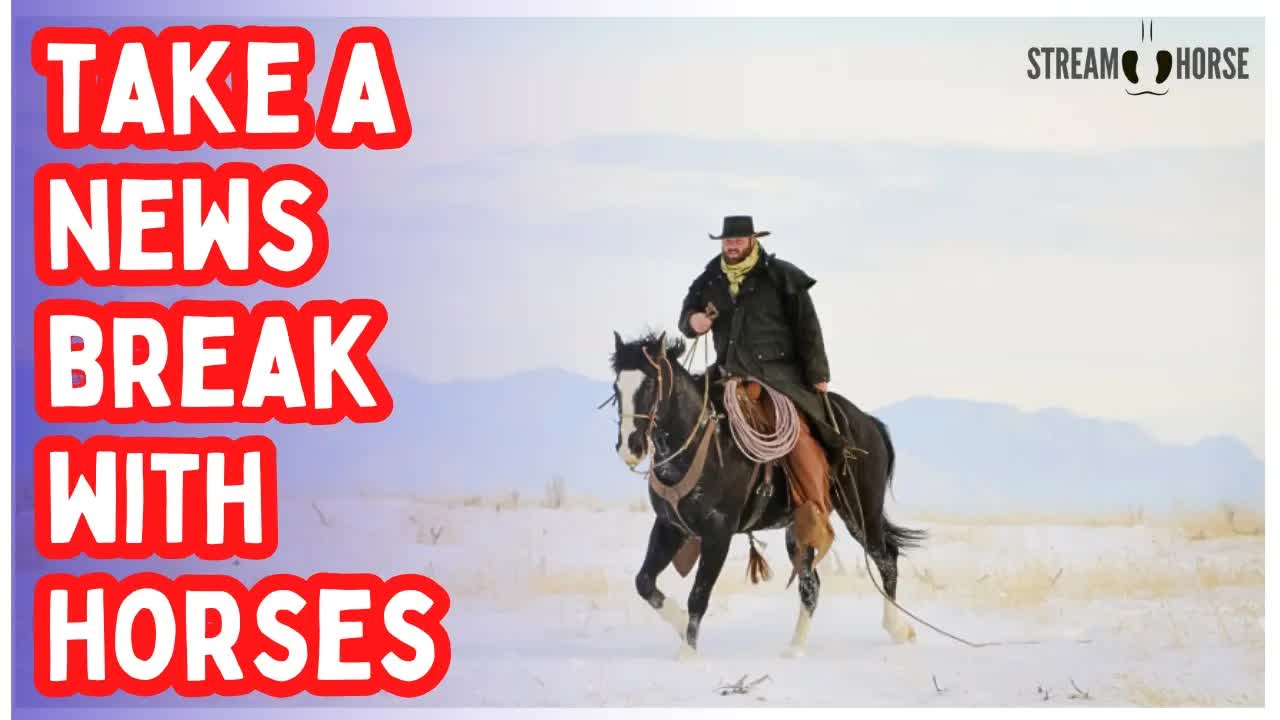 The News Is Heavy 📰🌧️ Horses Bring the Light 🐎✨ 10 Minutes of Pure Joy