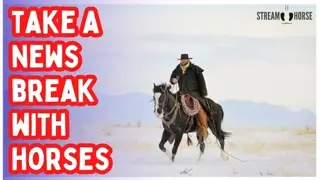 The News Is Heavy 📰🌧️ Horses Bring the Light 🐎✨ 10 Minutes of Pure Joy