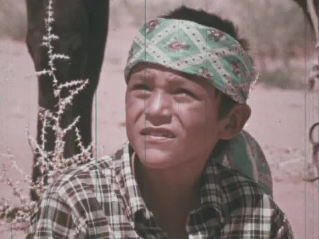Summer of Johnson Holiday (1971)