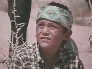 Summer of Johnson Holiday (1971)
