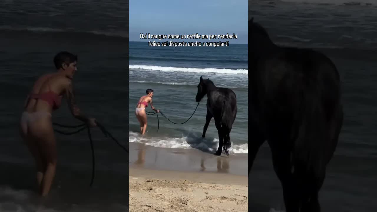 I can only do this for Queen and Nala. What you do for love, even brave the cold and the seaweed 😂