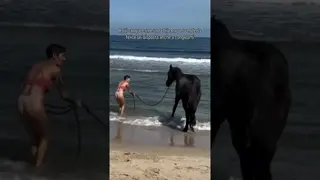 I can only do this for Queen and Nala. What you do for love, even brave the cold and the seaweed 😂
