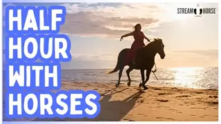30 Minutes Away From Life 🐎🌎 Horses in the World’s Most Beautiful Places