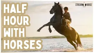 Pause the Headlines ⏸️📰 30 Minutes of Horses & Nature’s Beauty 🐴😌