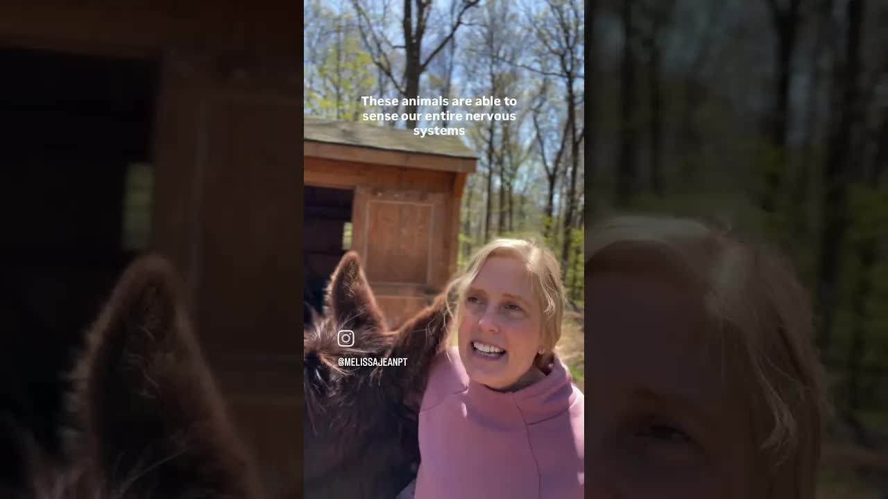 I believed this claim for a while - “horses can hear your heartbeat from five feet away.”