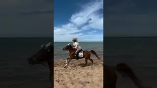 Riding horses through the sea — where freedom meets the waves. 🌊🐎