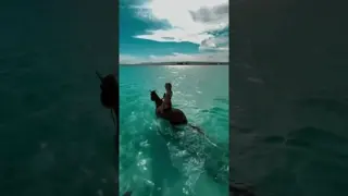 horse riding on the water is not just an adventure - it's indescribable freedom & peace 🐎🌊