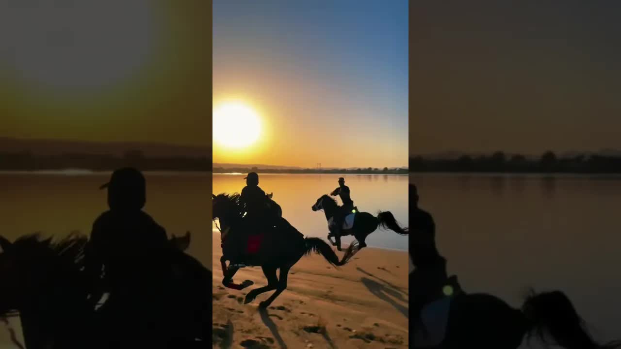Pasha and Layl… sun and sunset, majesty and tranquility… and I am the happiest one among them. 🌅🐎🎠