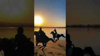 Pasha and Layl… sun and sunset, majesty and tranquility… and I am the happiest one among them. 🌅🐎🎠