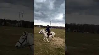 let's go for a ride 🏇
