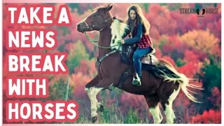 Pause the News Fear 🐴✨ 20 Minutes of Horses to Lift Your Heart