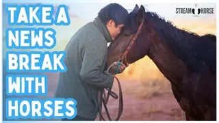 Step Away from the News & Feel Inspired 🐎😁 20 Minutes of Pure Strength