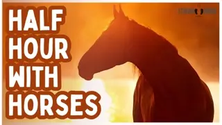 From Mountains to Meadows 🐎🌎 30 Minutes of Horses in Earth’s Most Scenic Settings