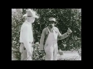 The Feline Fighter (silent, 1929)