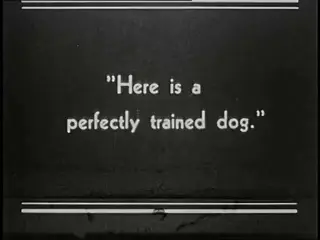 0475 Motor Conditioning In Dogs