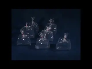 Multiplication (silent, raw footage, 1950s)