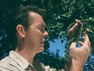 PHXLivingAndNonLivingThings (raw footage, silent, 1950s)