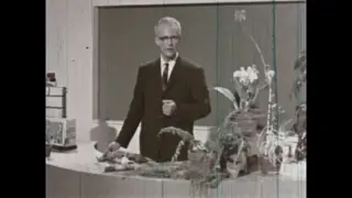 PlantOrganismEmulsionDamageScratches