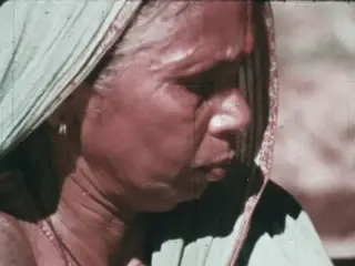 PolynesianFilmTitleCut