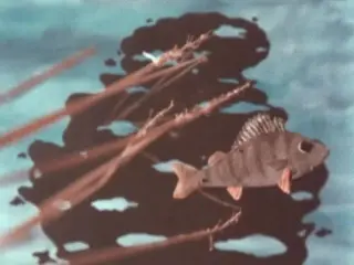 Young Perch (1981)