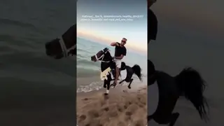 If you know how to create such beauty, show me, Mr. Pasha. 🔥🌊🐎