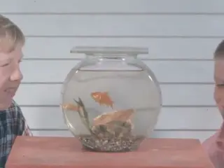 Animals Are Different And Alike (silent, raw footage, 1960s)