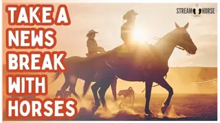 Absorb Fire Horse Energy 🔥🐎 20 Minutes to Recharge from the News