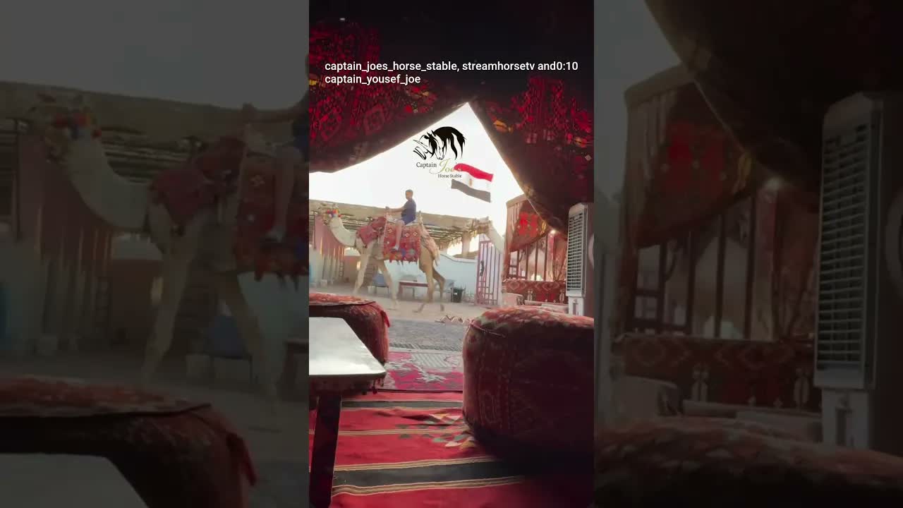 🐪 Desert vibes you’ll never forget 🌅✨