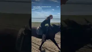 global horse girls 🏇