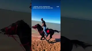 Don't wait for our downfall 🖐🧿 We are under God's protection ☝️💙🔥🖤🐎