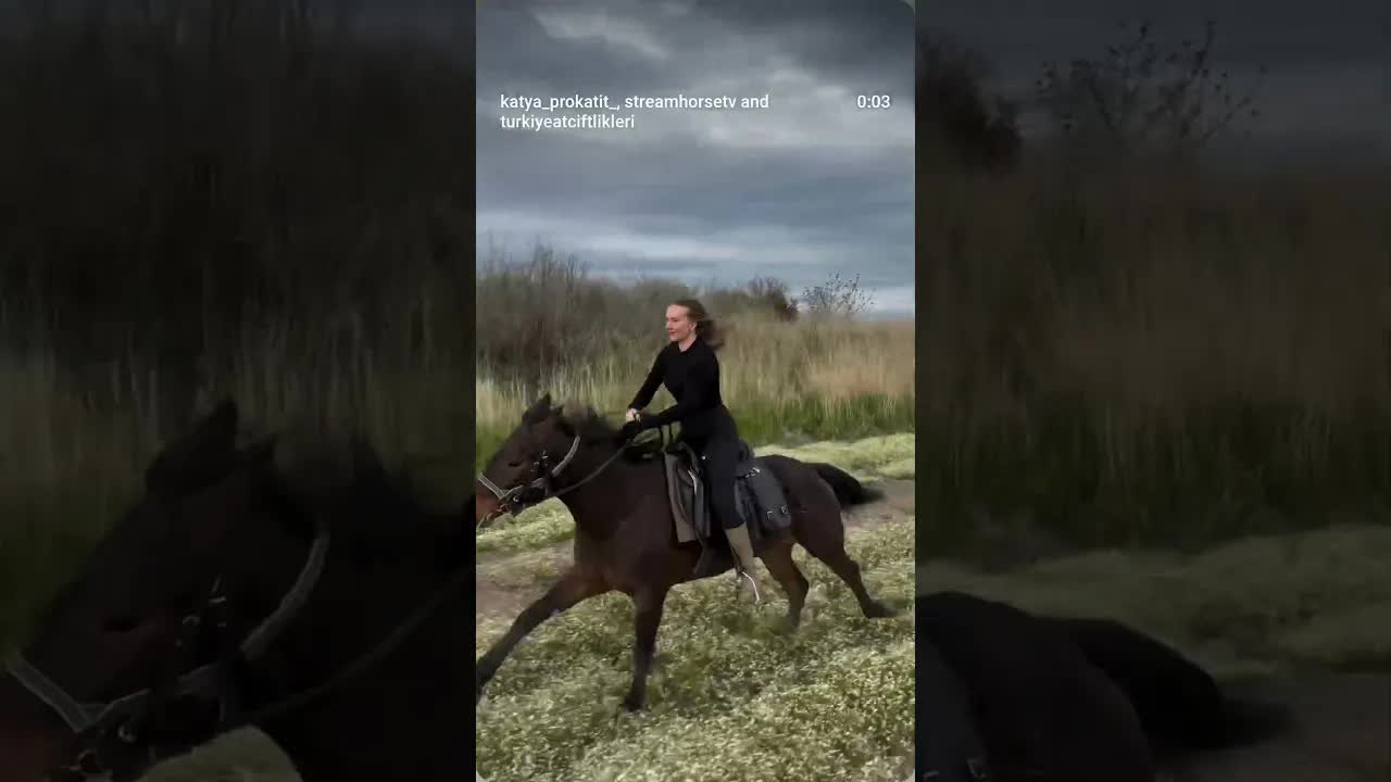 Normal is when a horse wants to gallop 🐎🔥