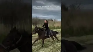 Normal is when a horse wants to gallop 🐎🔥