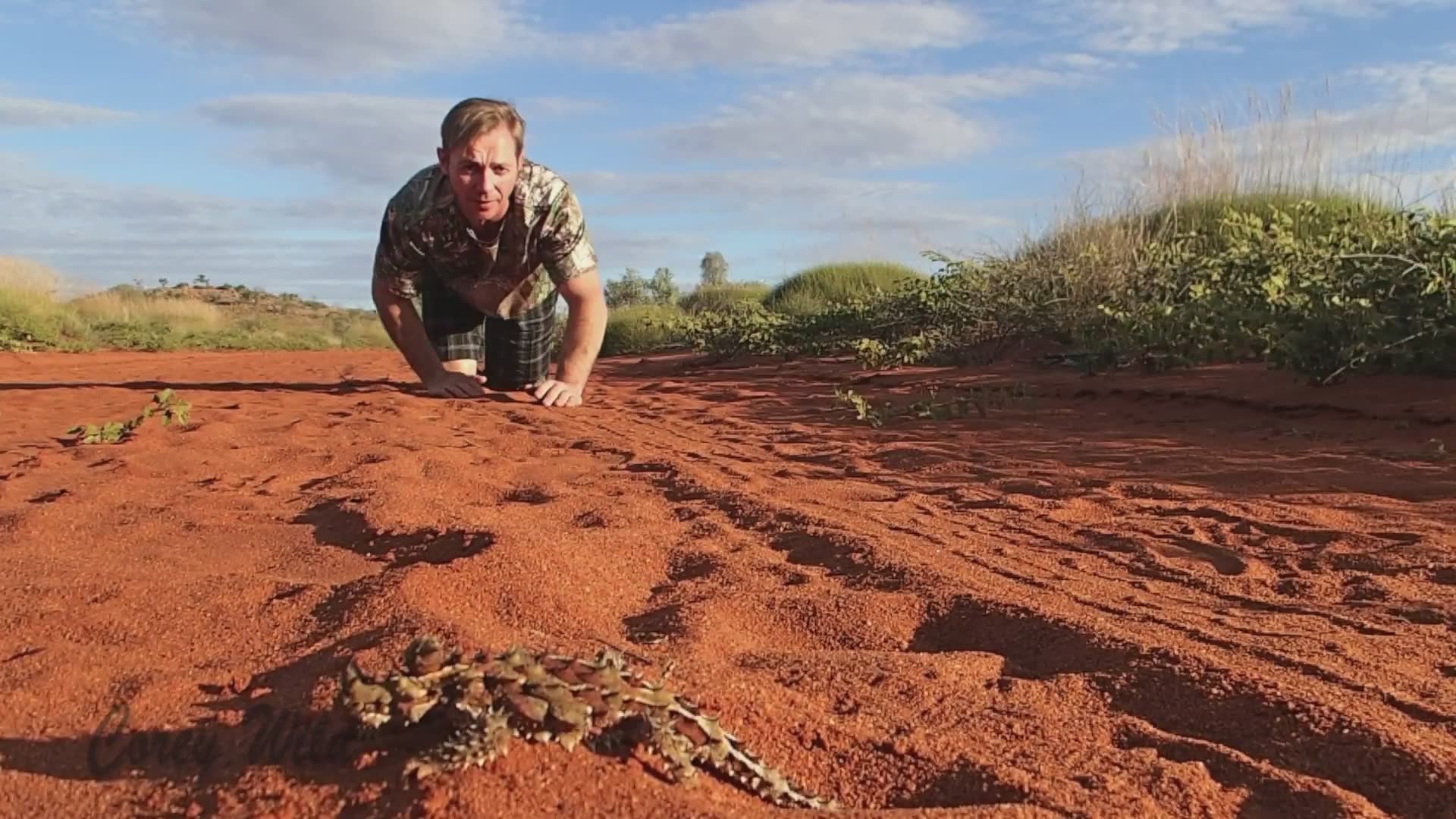 Discovering prehistoric-looking thorny devil lizard in Australian outback