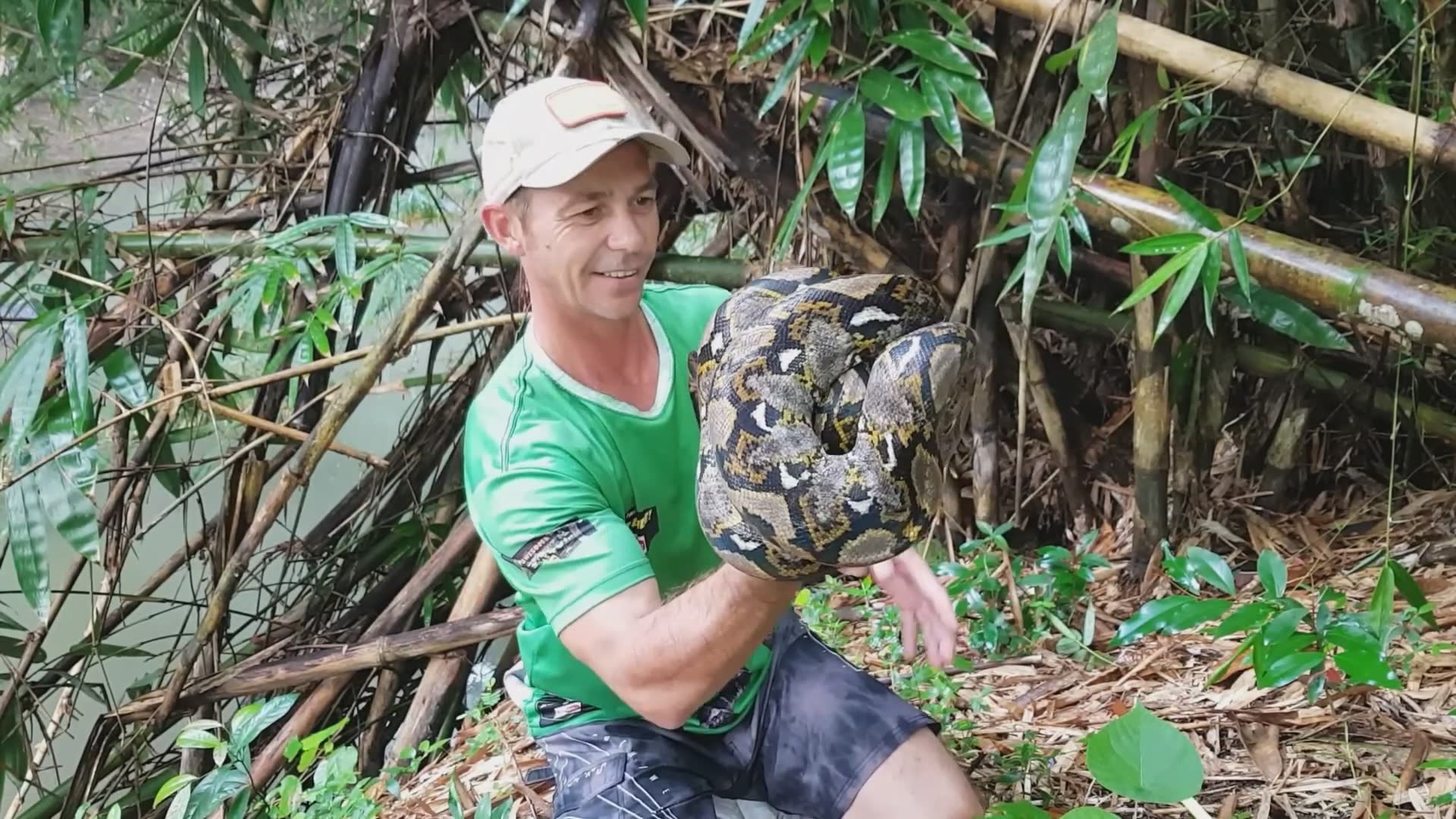 Why you should never approach enormous pythons in the wild