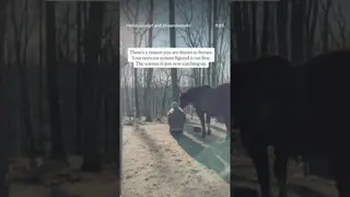 ❤️ That pull you feel toward horses? That’s not just a personality trait...