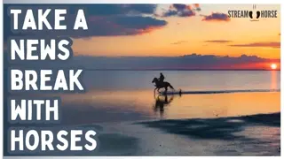 From Breaking News to Grazing Views 📰➡️🌿🐴 20 Minutes of Equine Calm